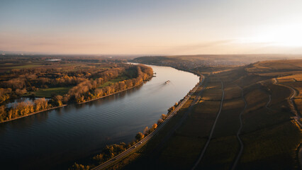 Weinberge am Rhein bei Nierstein im herbstlichen Sonnenuntergang