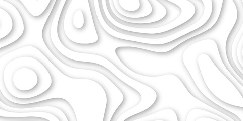 Abstract luxury white modern 3d papercut background. Minimal abstract vector wave carve diamond topography line circle creative topography map circle and wave line smooth multilayer pattern. papercut.