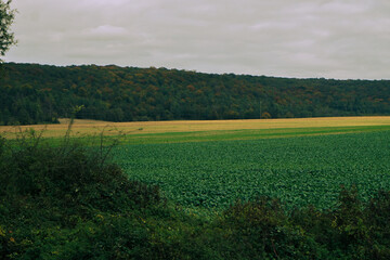 Burgundische Felder