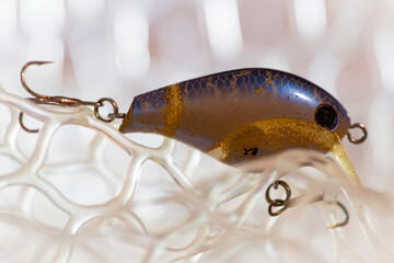 The best fishing bait that caught a lot of fish.