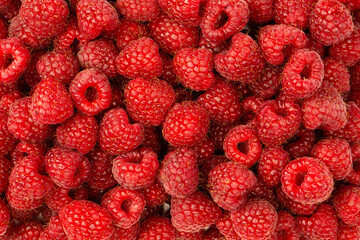 Tasty fresh raspberry as a background.