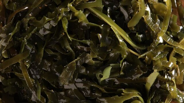 kelp seaweed texture on plate rotation top view healthy food
