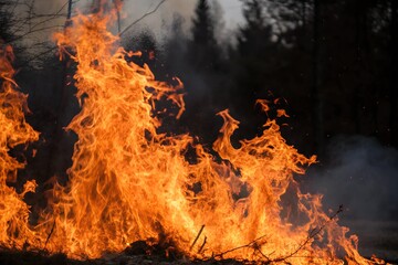 Intense orange flames engulfing the dark background