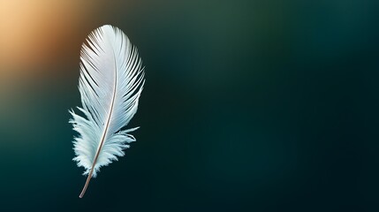 A Close-Up of a Textured Feather Radiating Soft Tones Against a Dreamy Background of Nature. Natural Macro Shot Texture Environment Concept