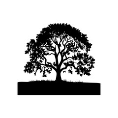 Hand drawn oak tree silhouette