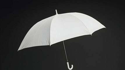 A white umbrella with a black background.