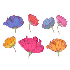 Colorful floral illustrations featuring various blossoms in vibrant hues against a white background