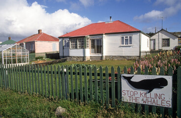 Pancarte non à la chasse à la baleine; Port Stanley; Iles Falkland