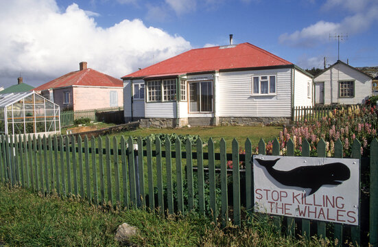 Pancarte non &agrave; la chasse &agrave; la baleine; Port Stanley; Iles Falkland