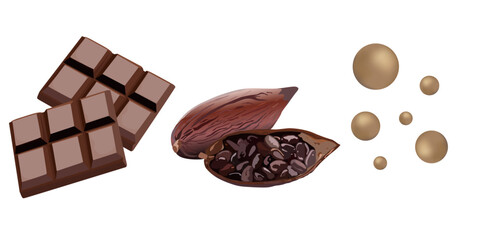 Cocoa bean chocolate illustration