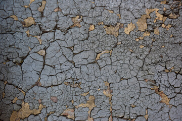 Detail of an old wood with cracked paint