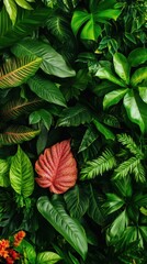 Fototapeta premium A stunning array of lush green leaves, featuring a striking red leaf in the center, showcasing nature's diversity and beauty in a harmonious blend.