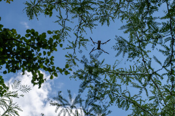 A drone flies against a bright blue sky with scattered clouds, surrounded by blurred green leaves in the foreground. aerial reconnaissance work