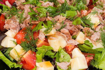 Salad of canned tuna, cheese and fresh vegetables close-up