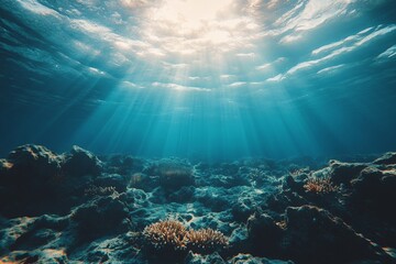 Fototapeta premium Underwater Sunlight on Coral Reef Tropical Ocean Ocean Floor Sunlight Blue Water Cora