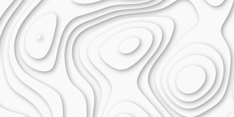 Abstract luxury white modern 3d papercut background. Minimal abstract vector wave carve diamond topography line circle creative topography map circle and wave line smooth multilayer pattern. papercut.