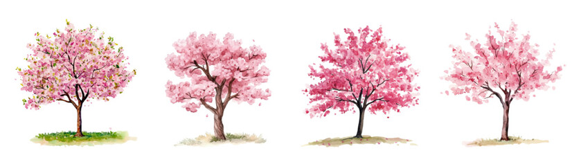 Watercolor set of blooming pink sakura trees png. Watercolor sakura tree blooming with pink flowers. Spring trees png. Vector illustration. © Narin