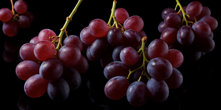 Rote und violette Weintrauben mit Zweigen, stilvoll auf schwarzem Hintergrund pr&auml;sentiert und durch Lichtreflexe hervorgehoben. Perfekt f&uuml;r Werbebilder und hochwertige Lebensmittelaufnahmen