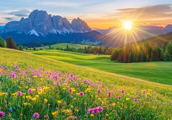 Fototapeta premium Sunrise Over Dolomites Meadow With Flowers
