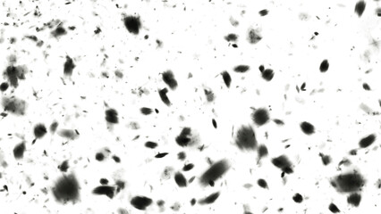 Fototapeta premium Abstract aromatherapy black smoke isolated white background. Steam Mist Fog and Dust Particles. Modern Dark and Dramatic Storm with gray smoky clouds.