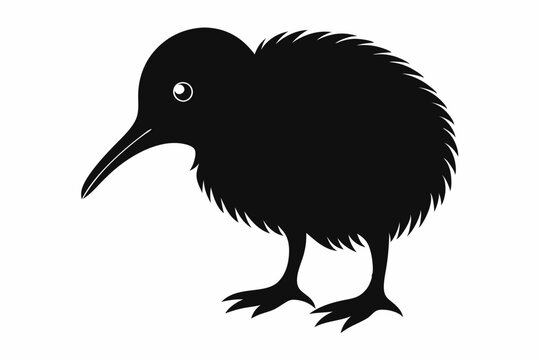 recommend clip art: kiwi bird silhouette vector animal,Stylish kiwi silhouette design - minimallest kiwi vector,Black silhouette kiwi bird icon and vector illustration.