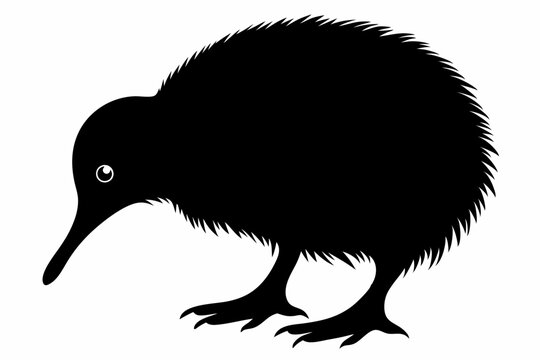 recommend clip art: kiwi bird silhouette vector animal,Stylish kiwi silhouette design - minimallest kiwi vector,Black silhouette kiwi bird icon and vector illustration.
