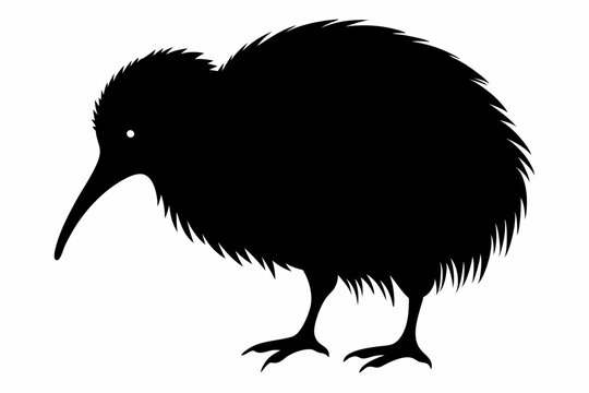 recommend clip art: kiwi bird silhouette vector animal,Stylish kiwi silhouette design - minimallest kiwi vector,Black silhouette kiwi bird icon and vector illustration.