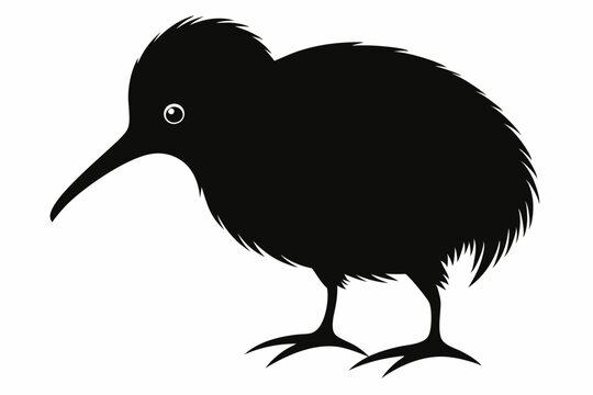 recommend clip art: kiwi bird silhouette vector animal,Stylish kiwi silhouette design - minimallest kiwi vector,Black silhouette kiwi bird icon and vector illustration.