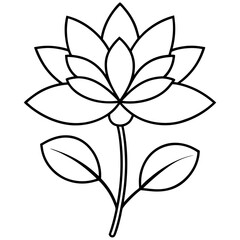 black and white flower