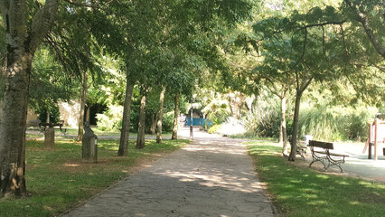 alley in the park