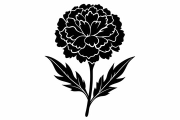 silhouette of marigold flower vector illustration,Cute rounded marigold flower silhouette vector illustration,marigold flower vector illustration,marigold silhouette icon white background.