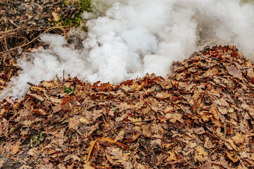 A pile of dry leaves being burned outdoors, releasing thick white smoke. The leaves are mostly brown and cover the ground, with green grass visible in the background.