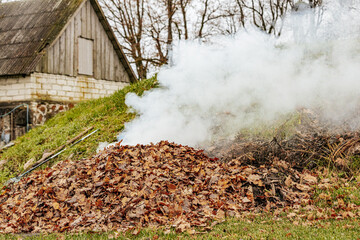 A pile of dry leaves being burned outdoors, releasing thick white smoke. The leaves are mostly...
