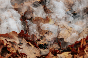 Close-up of smoke rising from a pile of dry, brown leaves in autumn. The leaves are smoldering, releasing wisps of white smoke into the air. The scene highlights seasonal yard cleanup.