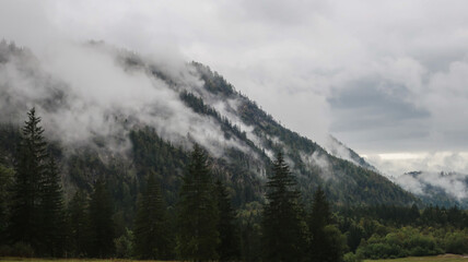 Voralpen und Nebel