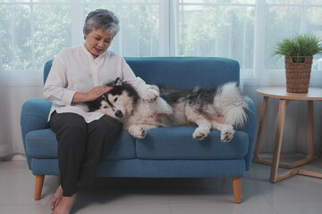 Asian Senior woman raising Siberian Husky dog ​​​​sitting on sofa in living room together hugging using hands to stroke head happily raising dog