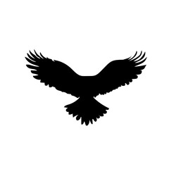 linear heraldic wings. Collection of black and white angel or bird wings with feathers. Design element for tattoo, logo or mascot. Outline flat vector Pinion on the sprawling