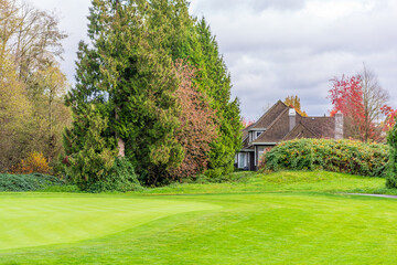 Obraz premium Outdoor landscape with green lawn, red and yellow trees and nice Fall foliage in Vancouver, Canada, North America. Overcast. Day time on November 2024.