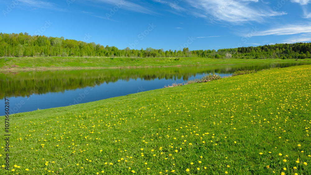Poster a beautiful, serene summer landscape with a river running through it and a field of yellow flowers. 