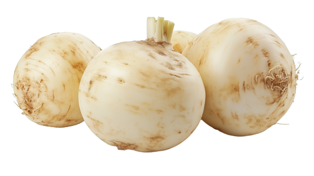 Four fresh rutabagas with earthy textures are isolated on white background, showcasing their natural appearance and organic roots