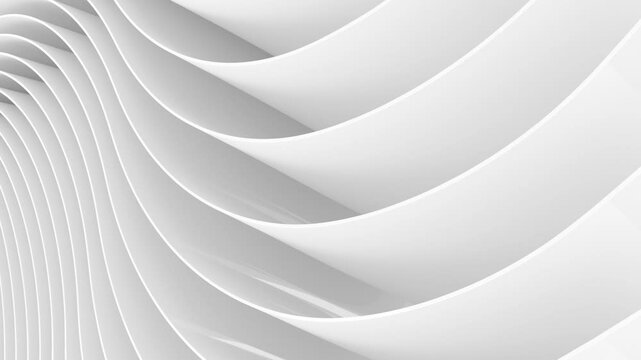 Abstract white background. Abstract waves. Loop animation. 3D. 3D rendering.