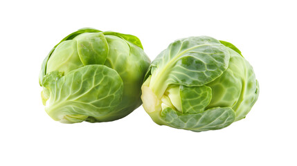 Fototapeta premium Two fresh Brussels sprouts on white background, showcasing their vibrant green leaves and natural texture. Perfect for healthy cooking and nutritious meals
