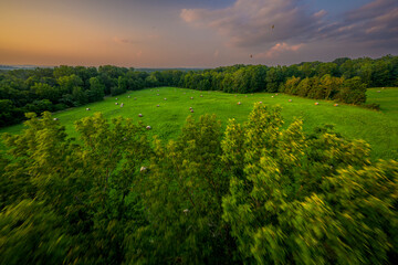 The New Jersey Lottery Festival of Ballooning