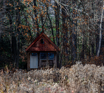 Abandoned Cottage
