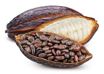 Cocoa isolated on white background