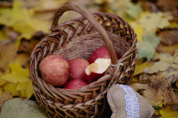 Autumn still life - apples in a basket on the background of yellow leaves in the park.