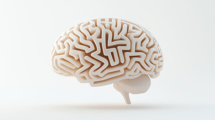 Intricate Maze Brain Model Representing Cognitive Complexity