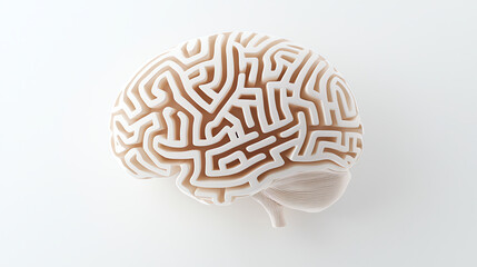 Intricate Maze Brain Model Representing Cognitive Complexity