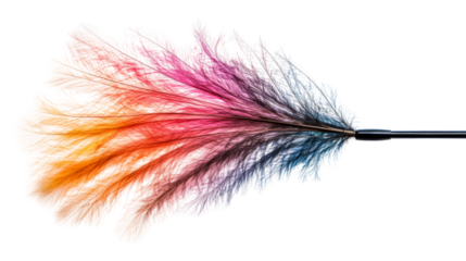 Soft feather duster with multicolored tips on a transparent background