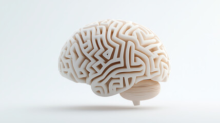 Intricate Maze Brain Model Representing Cognitive Complexity
